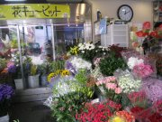 「谷沢楽花園」　（広島県広島市中区）の花屋店舗写真2